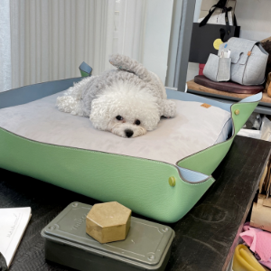 leather framed dog bed